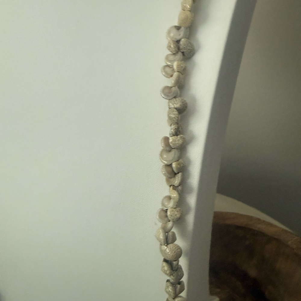 Long Small Seashell Necklace - Picture 6 of 6